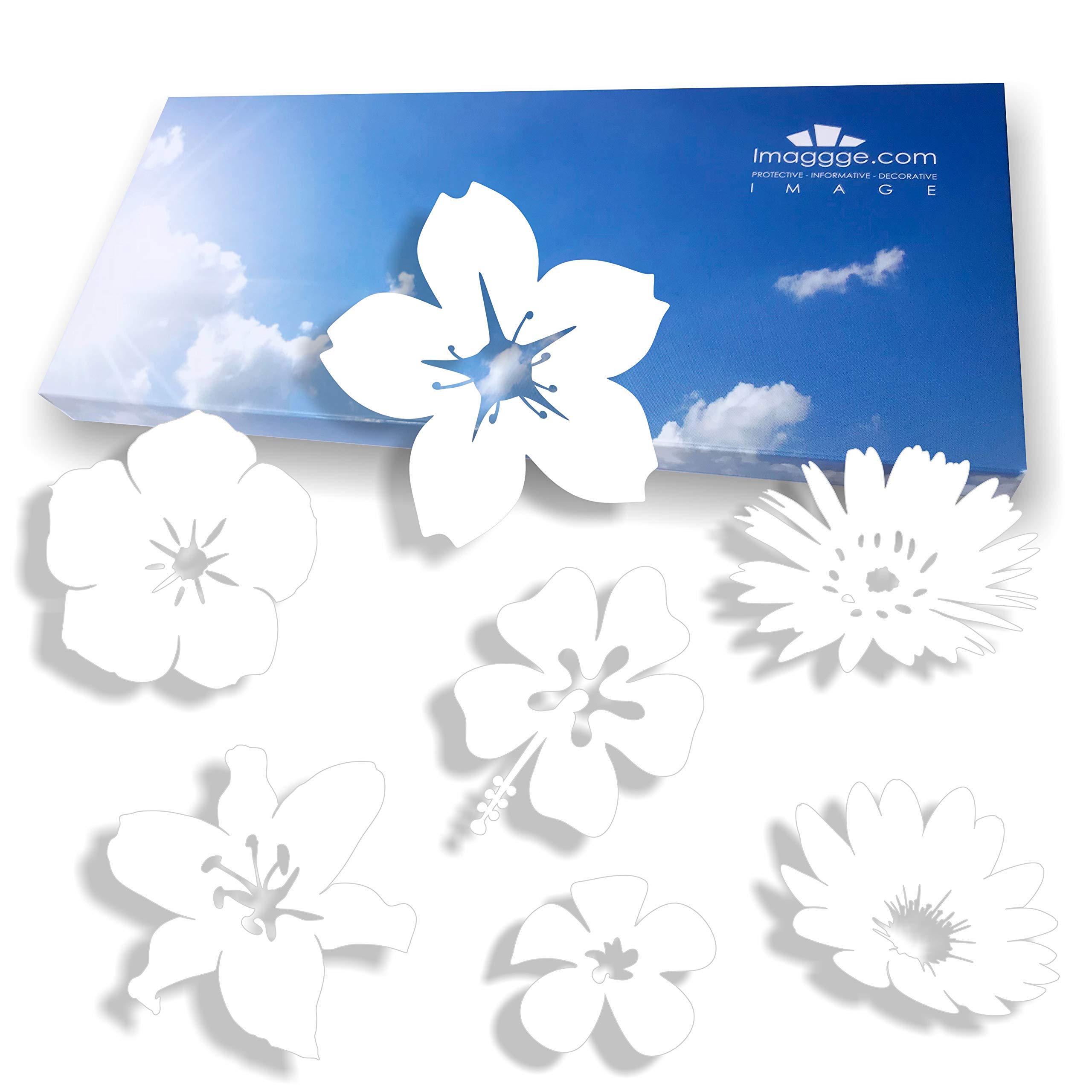 Window Protection Stickers - Avoid Bird, Pet and People Collisions and Strikes on Window Glass - Set of 38 Stickers - Color: White
