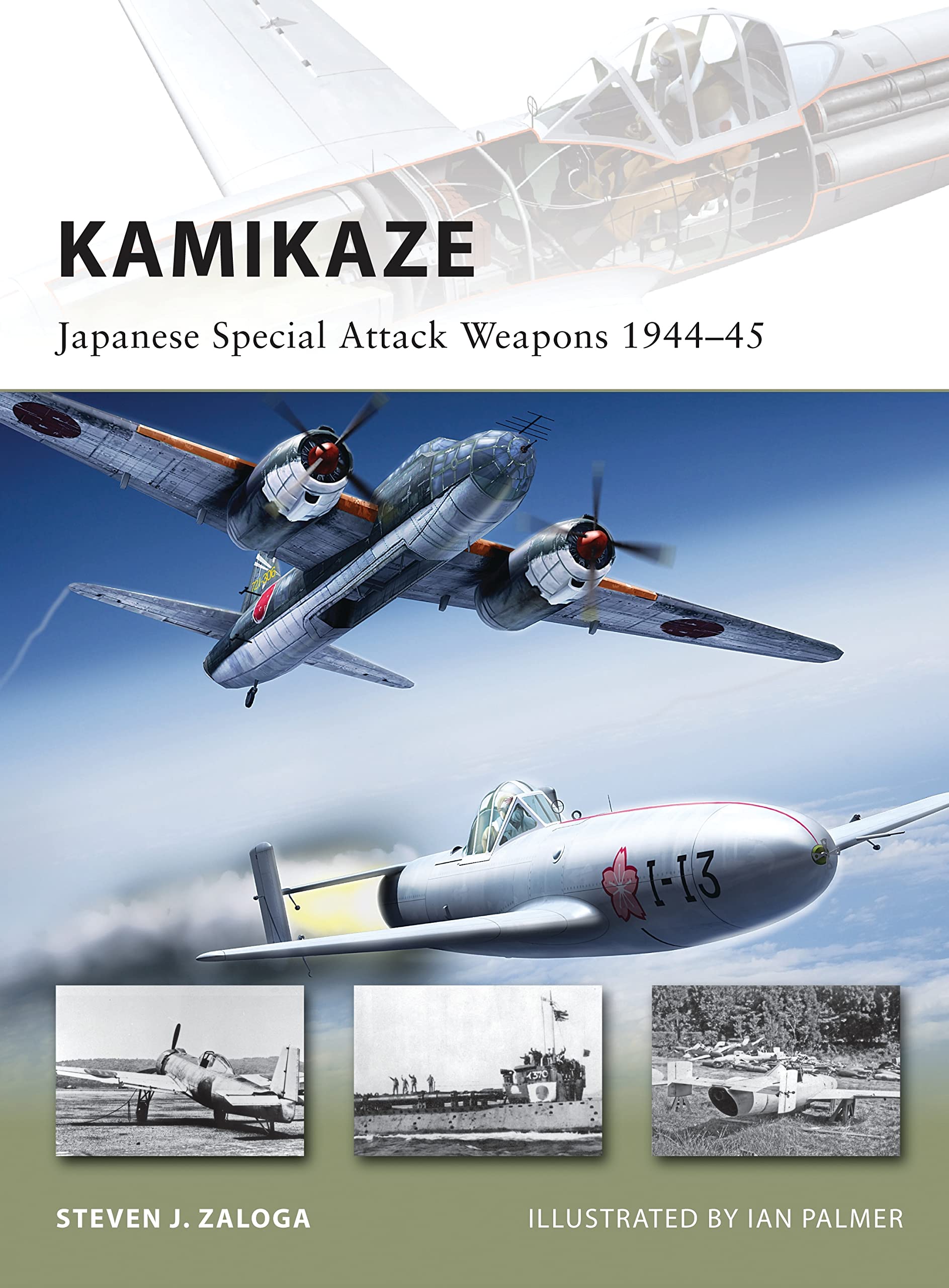 Kamikaze Japanese Special Attack Weapons 1944 45 New Vanguard Zaloga Steven J Palmer Ian Amazon Com Books