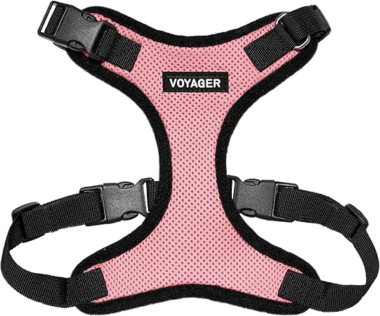 voyager mesh dog harness