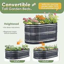KING BIRD Raised Garden Bed Kit 2025 Upgraded