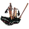 Mini bagpipe Rosewood Mackenzie cover & cord Starter playable for beginner kids junior set comes with free 2 reeds and instruction