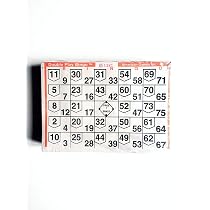 Double Action Double Play Bingo Paper Game Cards - Pack Of 500 Unique Cards, Orange Border, 8" X 6.25"