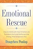 Emotional Rescue: How to Work with Your Emotions to Transform Hurt and Confusion into Energy That Empowers You