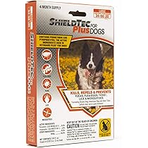 foods to help your dog lose weight