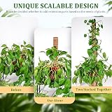 YAUNGEL Moss Pole 4 Pcs 41CM Coir Totem Plant Support with 20M Ties view 4