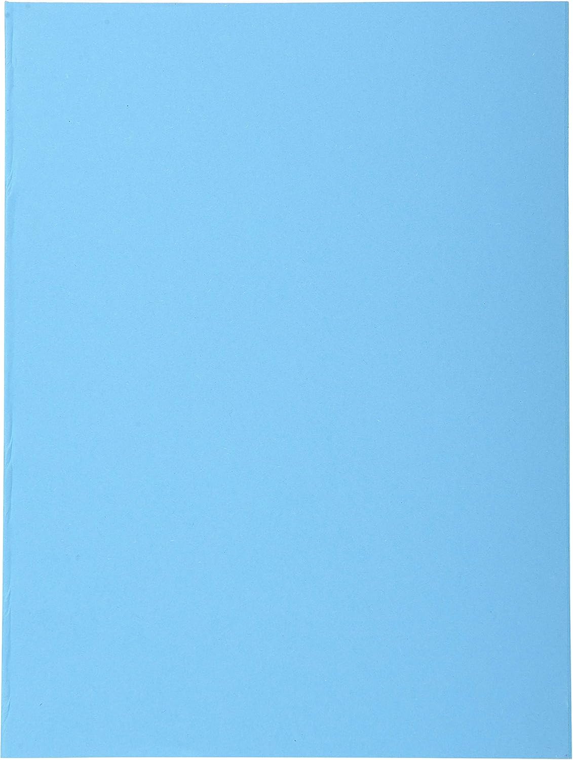 Exacompta, Ref 420010E, Forever Collection, Recycled Square Cut Folder, A4 (210 x 297mm), 170gsm Recycled Board - Image 3