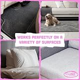 CarPet Pet Hair Remover Pink - Removes Dog Cat Hair from Clothing Car Interiors view 3