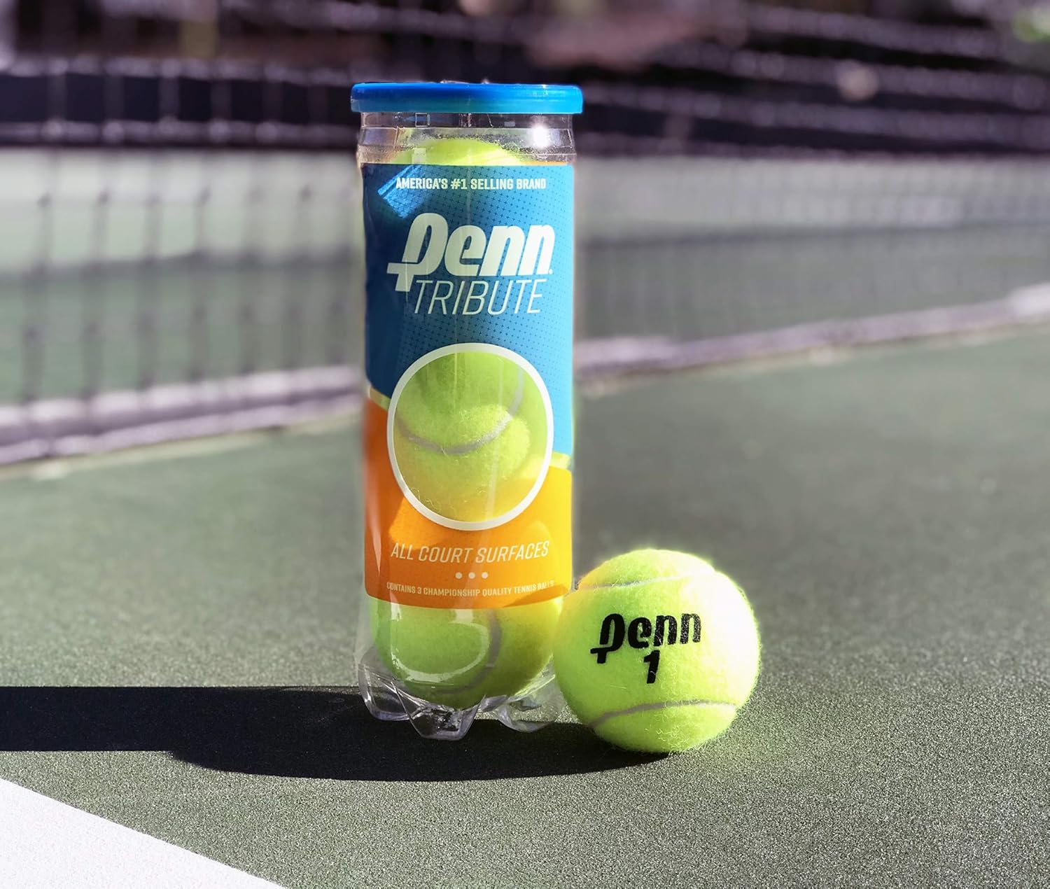 Penn Tribute Tennis Balls - All Courts Felt Pressurized Tennis Ball, 1 Can, 3 Balls : Sports & Outdoors