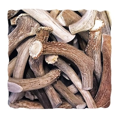 WhiteTail Naturals Premium Deer Antlers for Dogs (1 lb. Pack) All Natural Antler Chews | A Grade, Crafted in USA Horn Dog Bone Chew for Medium and Big Breeds | Power Chewer