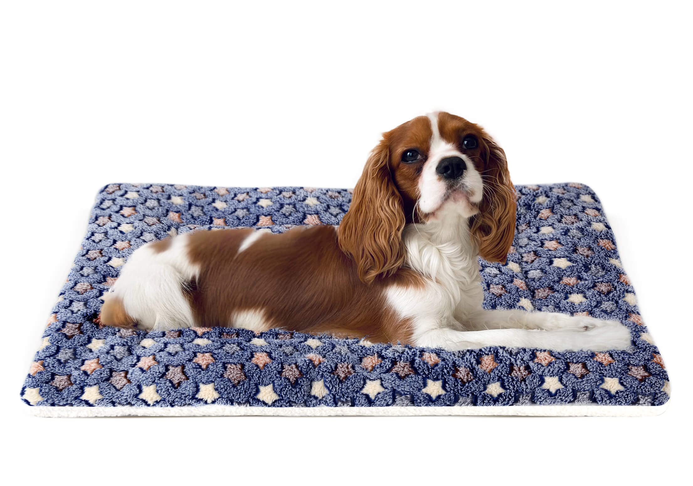 MORA PETS Dog Bed Mat Small Washable Dog Crate Mattress for 24 inch Cage Soft Flat Pet Cushion Bedding Puppy Pillow Blanket for Cats Puppy Dogs Reversible 60x46cm Blue