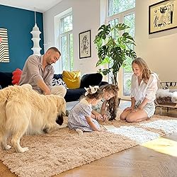 OLANLY 2x3 Machine Washable Small Bedside Rug, Soft