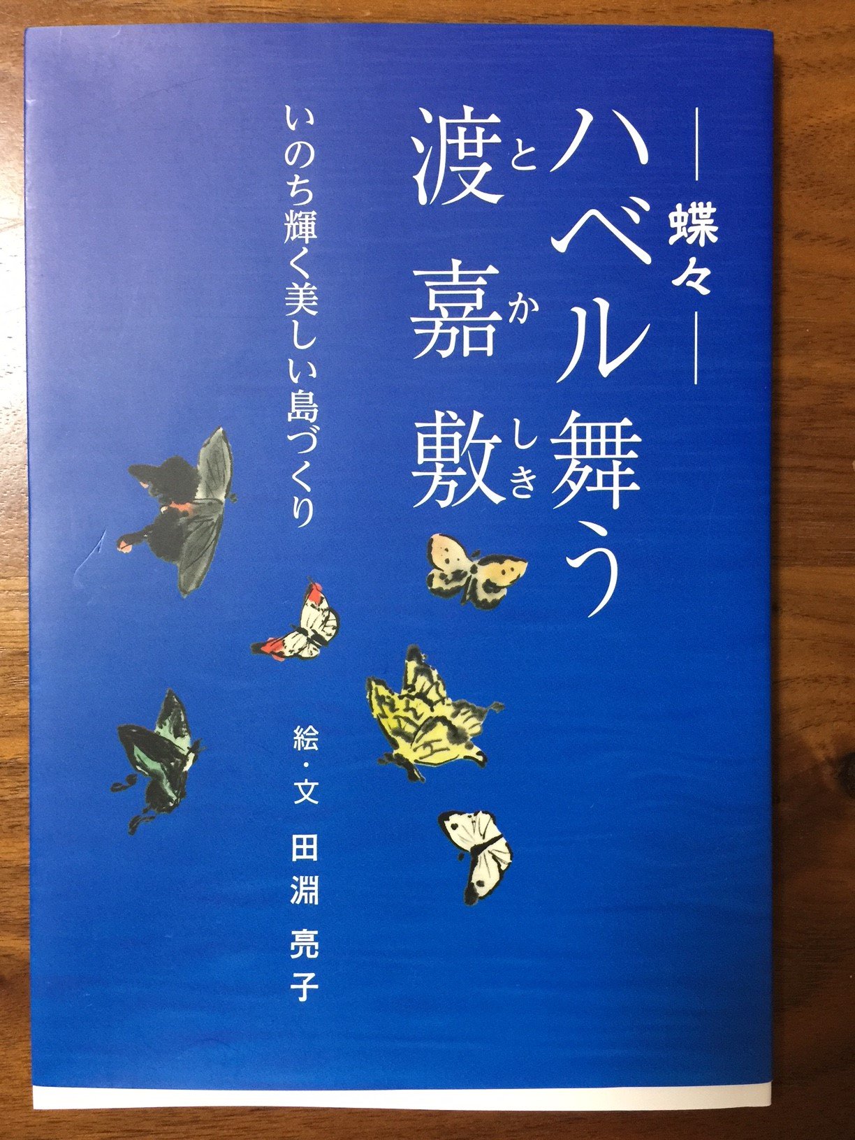ハベル 蝶々 舞う渡嘉敷 いのち輝く美しい島づくり Amazon Com Books