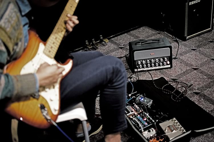 BIAS Head：使用イメージ