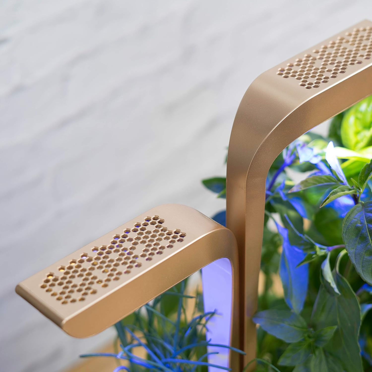 Véritable® Connect (versión Moonlight Gold) - Huerta interior Made ...
