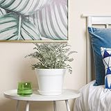 T4U 17cm Plastic Plant Pots 6-Pack with Saucer White Indoor Outdoor view 4