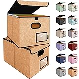 BALEINE File Organizer Box with Lid, Collapsible
