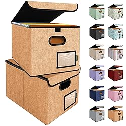 BALEINE File Organizer Box with Lid, Collapsible