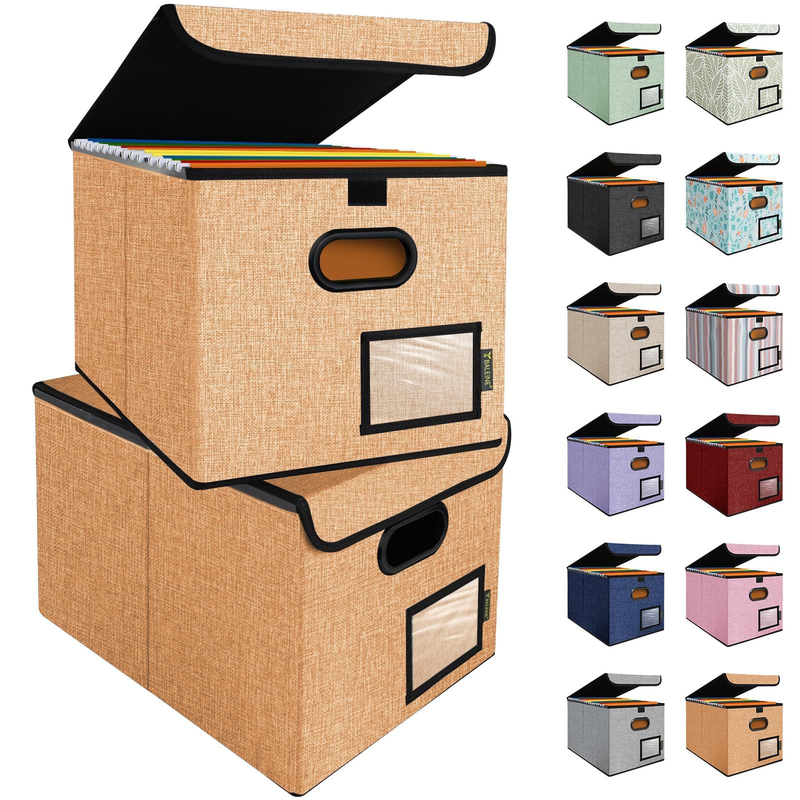 BALEINE File Organizer Box with Lid, Collapsible