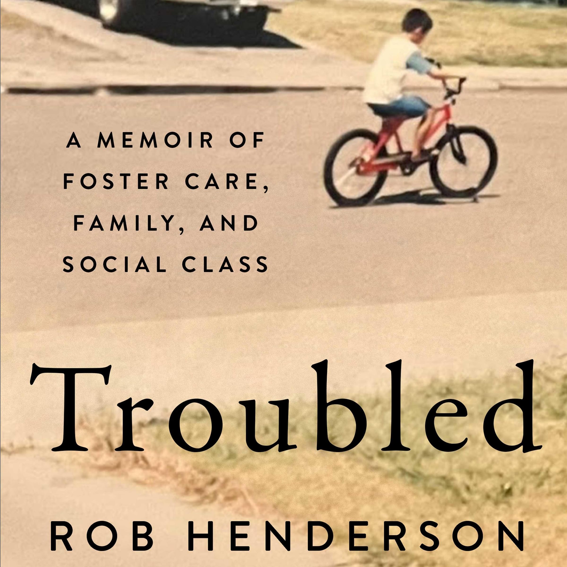 Troubled: A Memoir of Foster Care, Family, and Social Class Image