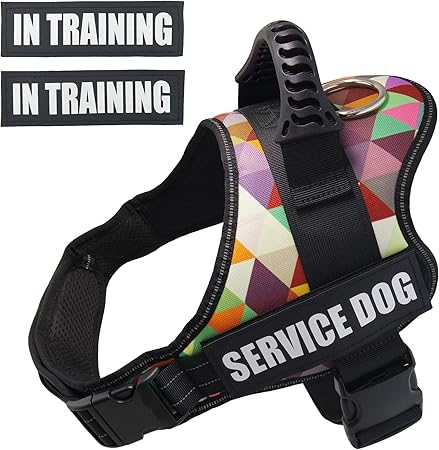 amazon service dog vest