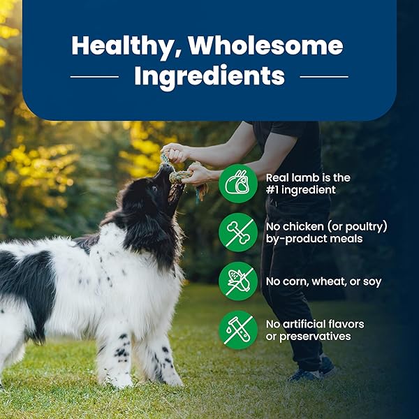 BLUE BUFFALO LIFE PROTECTION FORMULA ADULT DRY DOG FOOD, HELPS BUILD AND MAINTAIN STRONG MUSCLES, MADE WITH NATURAL INGREDIENTS, LAMB & BROWN RICE RECIPE, 5-LB. BAG