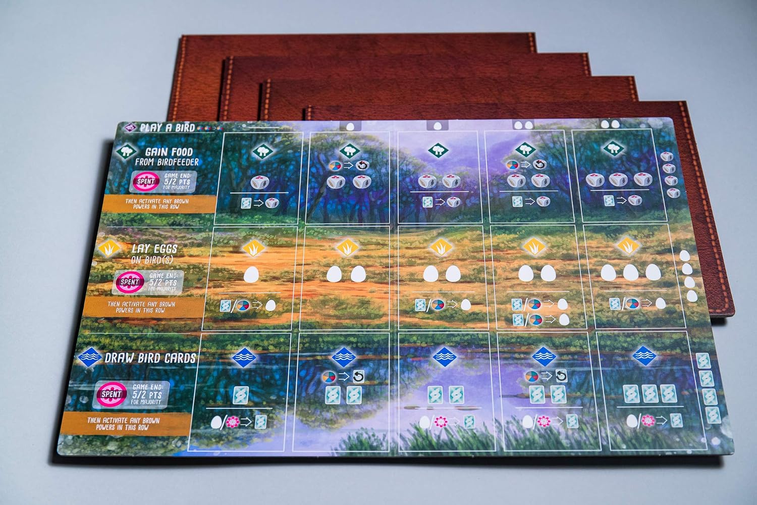 Stonemaier Games, Wingspan: Oceania Expansion, Board Game, Ages 14+, 1-5 Players, 40-70 Minute Playing Time - Image 4