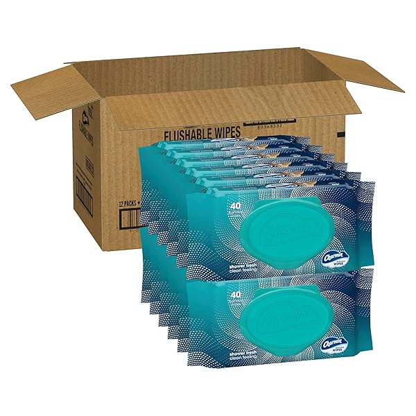 CHARMIN FLUSHABLE WIPES, 480 TOTAL WIPES (12 PACKS OF 40)