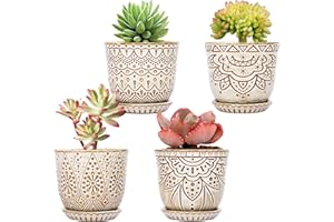 Gepege Succulent Pots, 4 Inch Small Indoor Ceramic Planter Pot with Drainage Holes and Saucers for Plants- Creamy White - Set of 4