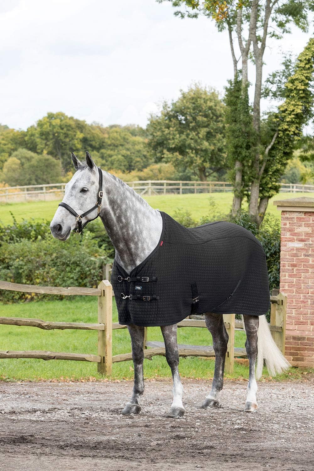 LeMieux Thermo Cool Rug Horse Amazon.co.uk Sports & Outdoors