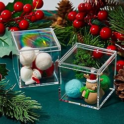 Blulu 8 Pieces Clear Acrylic Plastic Jewelry Box