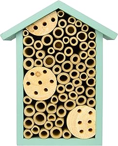 Nature's Way Bird Products PWH1-C Teal Bee House