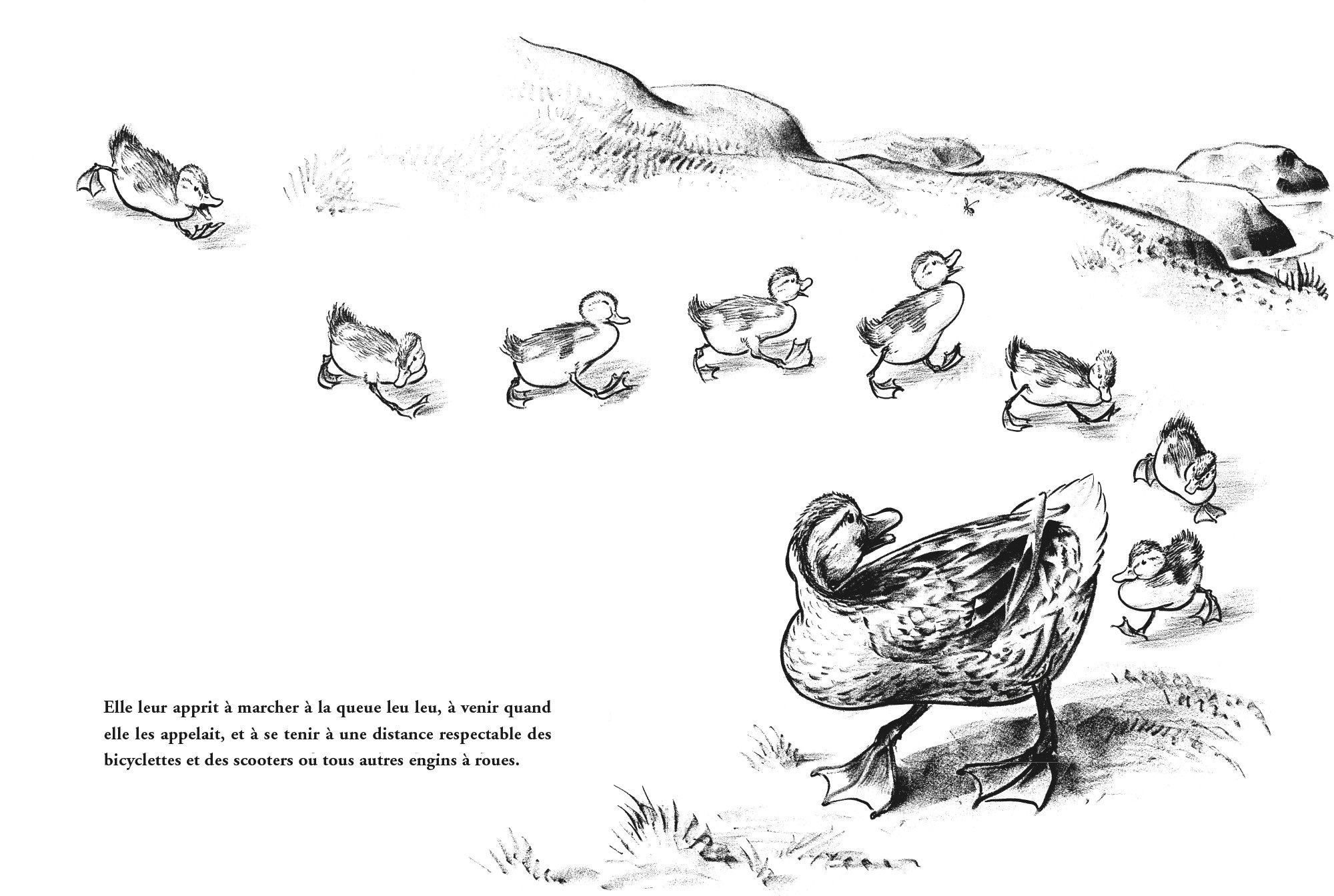 Amazon Fr Laissez Passer Les Canards Mccloskey Robert Patte Genevieve Hoban Tana Guinard Julie Livres