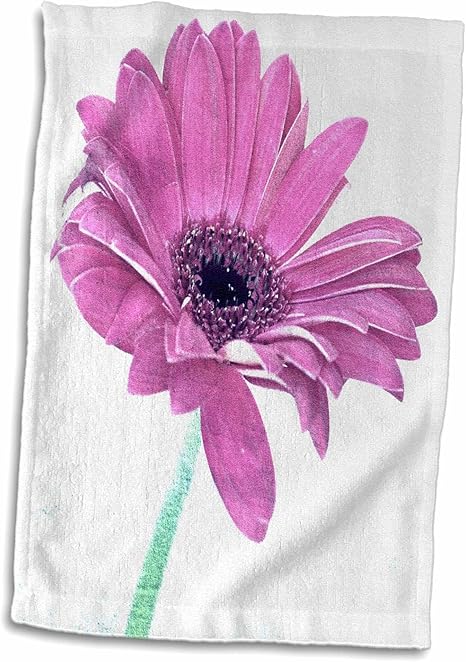 Amazon 3dローズpatricia Sanders花 ピンクgerbera Daisyウィンドーウォールアートnature 花 タオル 15x22 Hand Towel Twl 1 キッチンクロス オンライン通販