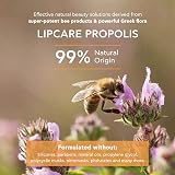 Apivita Lipcare Propolis 4.4g Natural Balm Dry Cracked Lips Moisturise Protect view 3