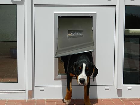 DD9XL-Pro, isolierte Hundeklappe mit Doppeltürtechnik gegen Zugluft und Kälte