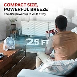 Honeywell TurboForce Air Circulator, Small Tabletop