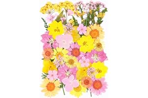 40Pcs Dried Pressed Flowers for Crafts,Xinxinran Dry Flowers Kit for Resin Molds,Epoxy Resin Accessories,Bookmark,Nails, Jewelry Molds,Candle Making Supplies,Soap,Cakes(Yellow Pink)