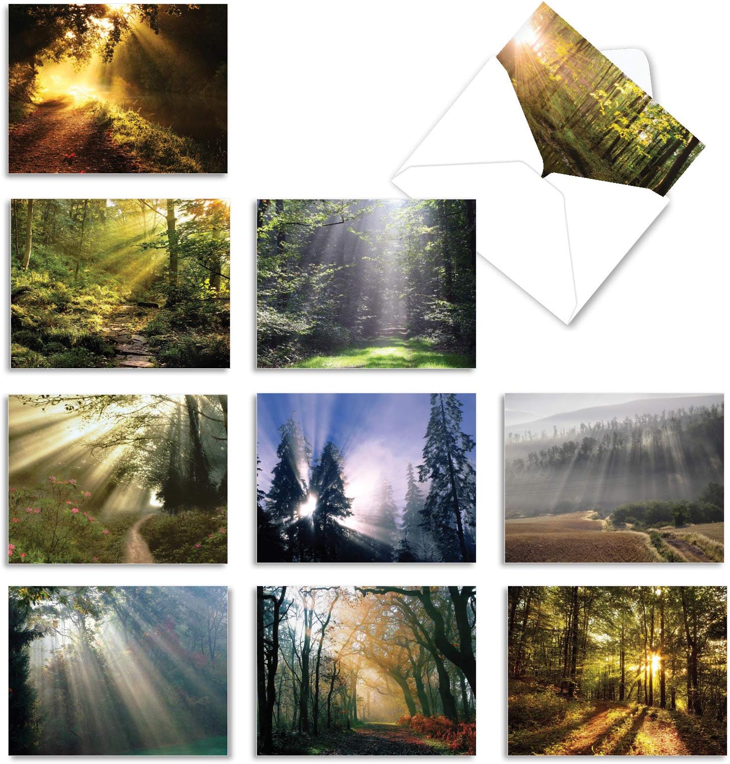 The Best Card CompanyBox of 10 All Occasion Cards Blank (4 x 5.12 Inch) - Scenic Landscape Cards Assorted - Shining Through M1735BN