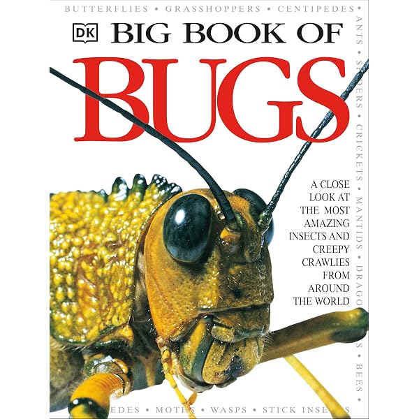 Encyclopedia of Insects: an illustrated guide to nature's most