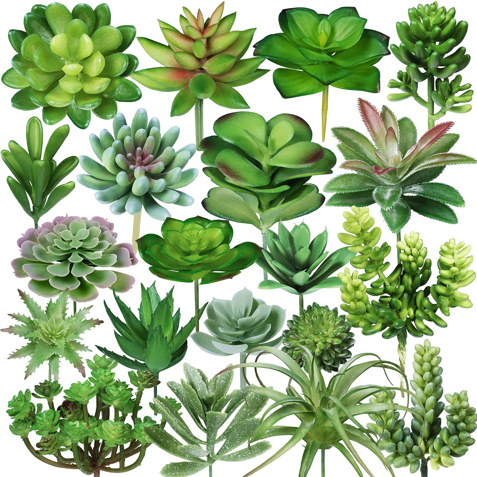 Photo 1 of Winlyn 20 Pcs Assorted Artificial Succulents Plants Unpotted Small Green Cactus Echeveria Air Plant Picks Fake Succulents Bulk for Succulent Garden Wreath Floral Arrangement Indoor Outdoor Home Decor