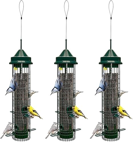 Amazon Com Brome Squirrel Buster Classic Squirrel Proof Bird