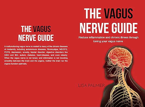 Download The Vagus Nerve Guide: Reduce Inflammation and Chronic Illness Through Toning Your Vagus Nerve (English Edition) PDF