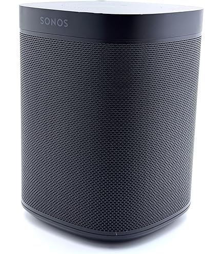 Amazon.com: Sonos One (2019) - Black : Electronics