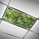 DIQISHIZHU Fluorescent Light Covers for Classroom