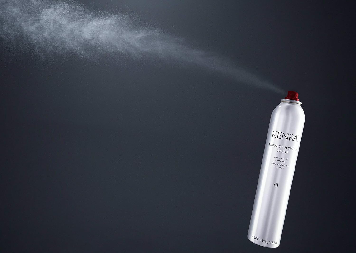 Kenra Perfect Medium Hair Spray 13, 10 Ounce: Premium Beauty