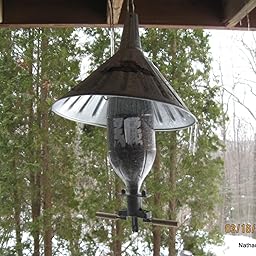 Amazon Com Soda Bottle Bird Feeder Wild Bird Tube Feeders