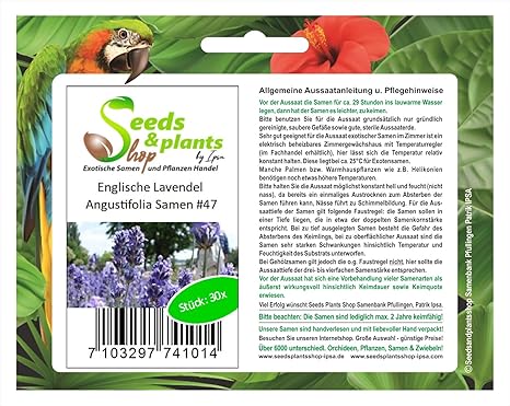 Stk 30x Englische Lavendel Angustifolia Pflanzen Samen 47 Seeds Plants Shop Samenbank Pfullingen Patrik Ipsa Amazon De Garten
