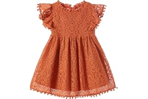 Niyage Toddler Girls Elegant Lace Pom Pom Flutter Sleeve Party Princess Dress