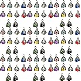 Sailanzi 100pcs Bulk Lots Dragon Claw Beads Charms for Jewelry Making,Antique Tibetan Silver Mixed Alloy Bracelet Bangle Charms for Necklace Bracelet Earring Keychain Jewelry Making (SN278-set)