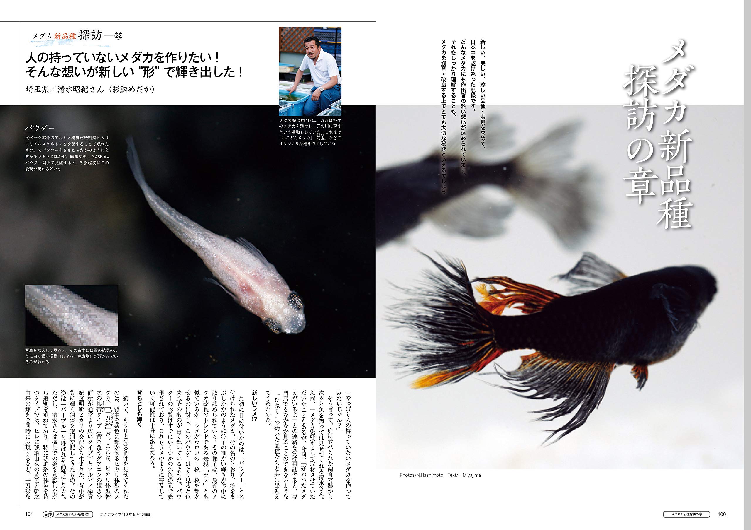 メダカ飼いたい新書2 Aqualife合本 本 通販 Amazon